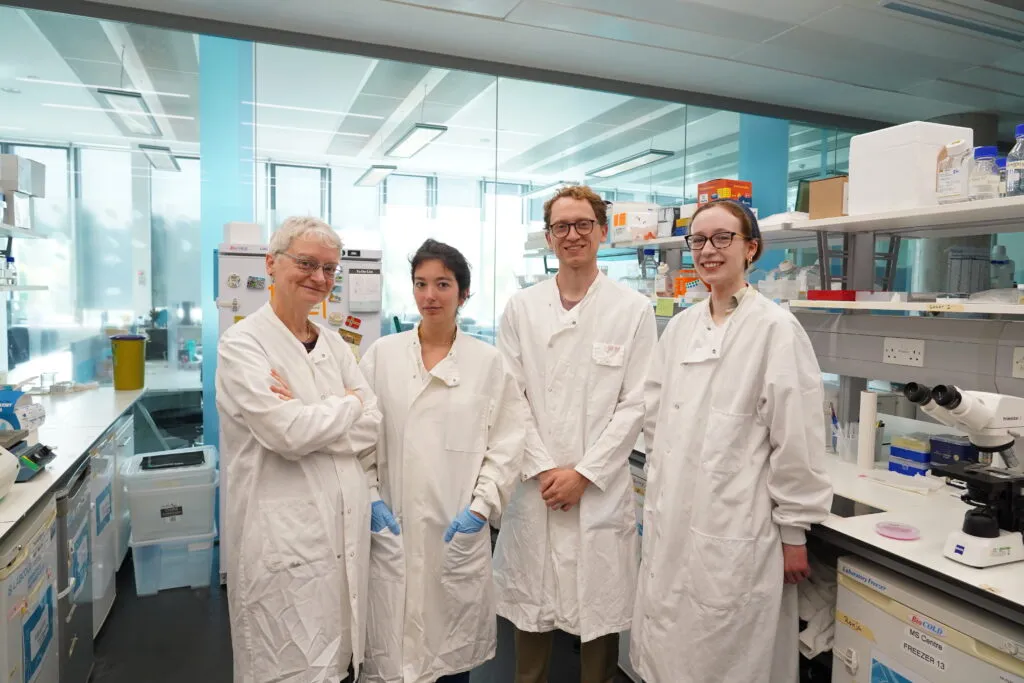 Un petit poisson pourrait ouvrir la voie à de nouveaux médicaments contre la SEP — mais le Brexit et Londres bloquent la route