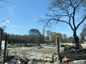 Scène de la D106 après le passage des flammes