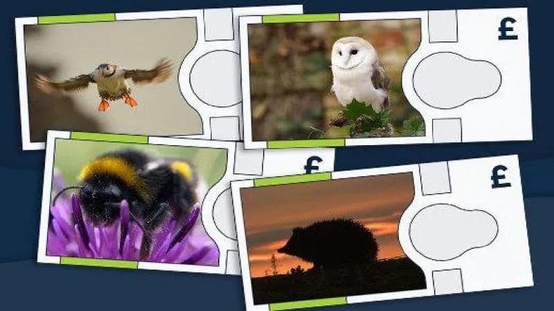 De nouvelles livres britanniques arboreront l’image d’un hérisson et d’un bourdon