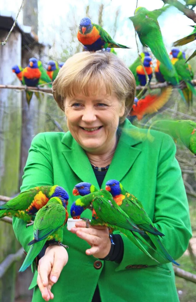 Un groupe de loriquets se montrant amicaux avec Angela Merkel lors d’une visite au parc ornithologique.