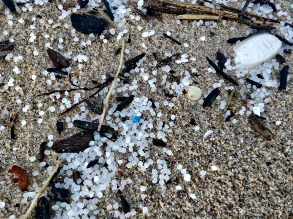Microplastiques et santé : inquiétude croissante