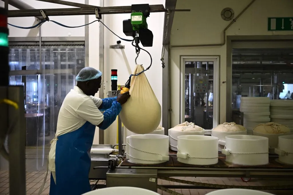 L’été torride en Italie met les producteurs de Parmesan à l’épreuve