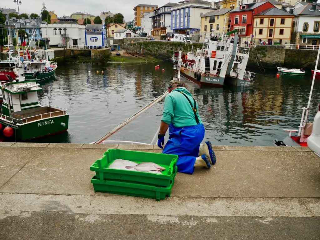 Pourquoi l’UE doit rester ferme sur sa politique commune de la pêche